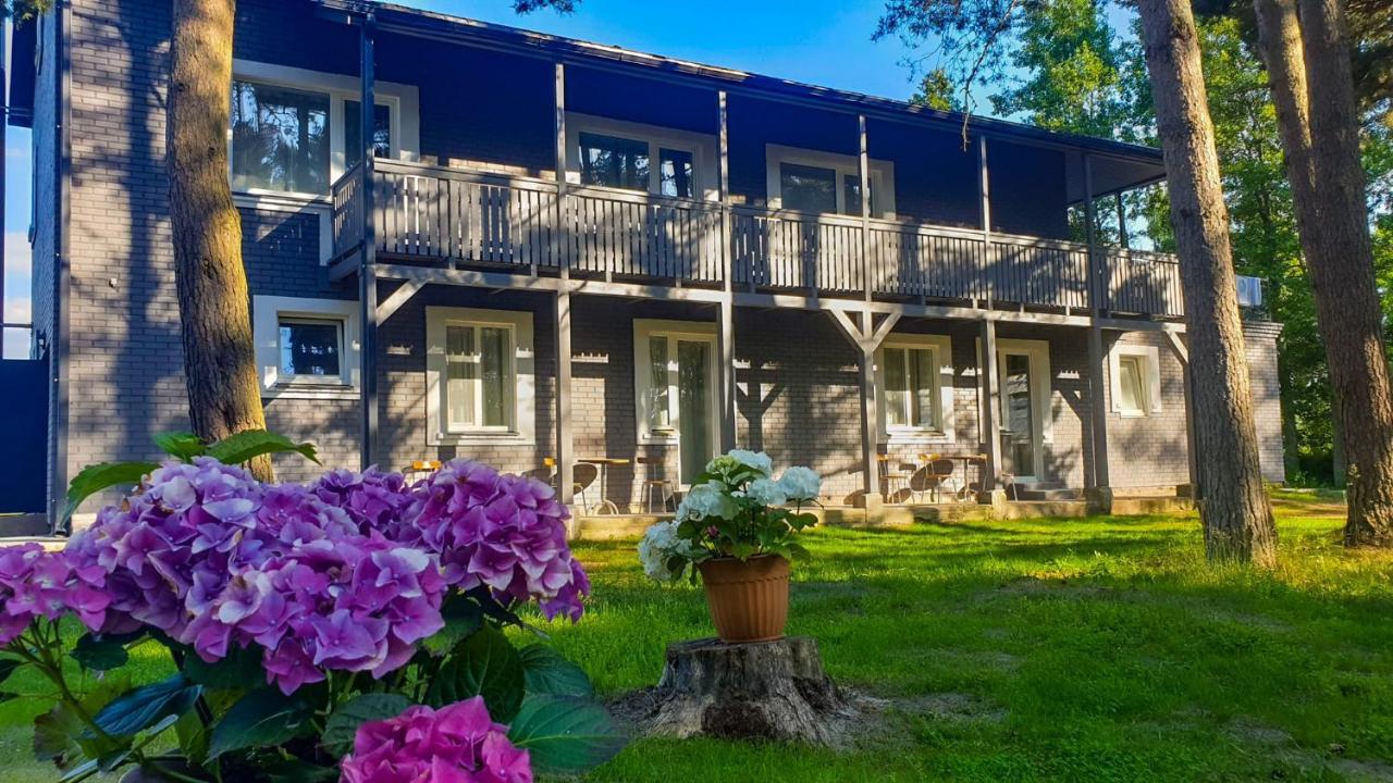 Guest House Saulgriezes Nīca Exteriör bild